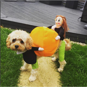 🎃Dog & Cat Pumpkin Halloween Costume